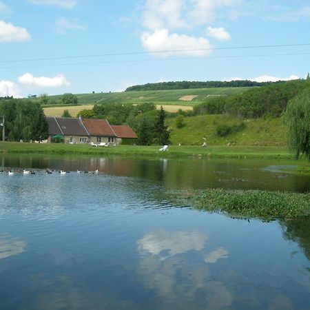 Bed and Breakfast Domaine Du Moulin De L'Etang Châtillon-sur-Marne Exteriér fotografie