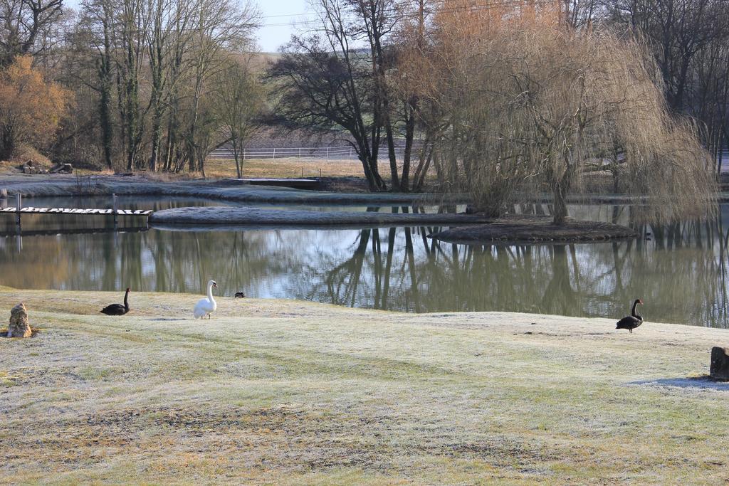 Bed and Breakfast Domaine Du Moulin De L'Etang Châtillon-sur-Marne Exteriér fotografie