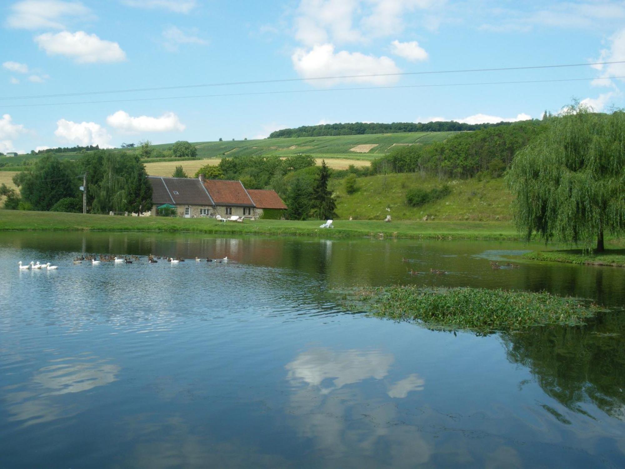 Bed and Breakfast Domaine Du Moulin De L'Etang Châtillon-sur-Marne Exteriér fotografie