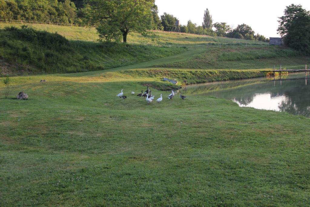 Bed and Breakfast Domaine Du Moulin De L'Etang Châtillon-sur-Marne Exteriér fotografie
