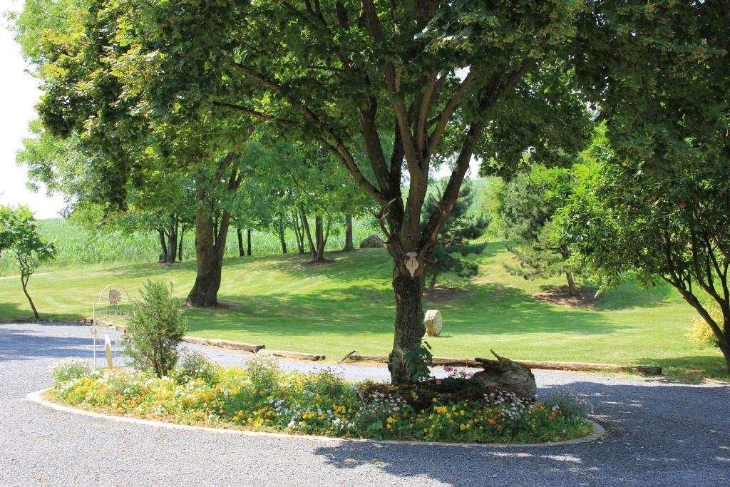Bed and Breakfast Domaine Du Moulin De L'Etang Châtillon-sur-Marne Exteriér fotografie